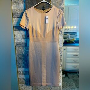 NWT Ann Taylor blush satin blend dress.